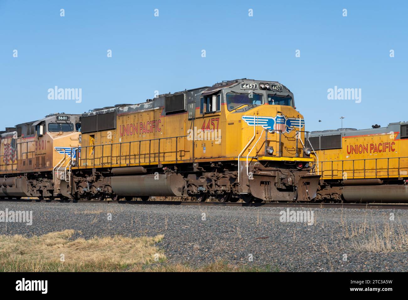 Voitures de train Union Pacific à Bailey Yard à North Platte, Nebraska, États-Unis Banque D'Images