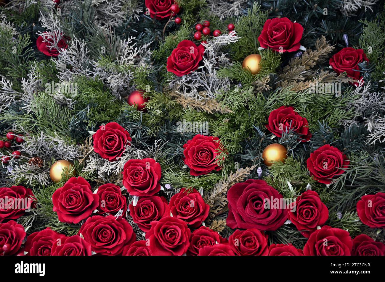 Sapin de Noël décoré de roses rouges satinées artificielles et de lumières festives à Ginza, Chūō Tokyo, Japon. Banque D'Images