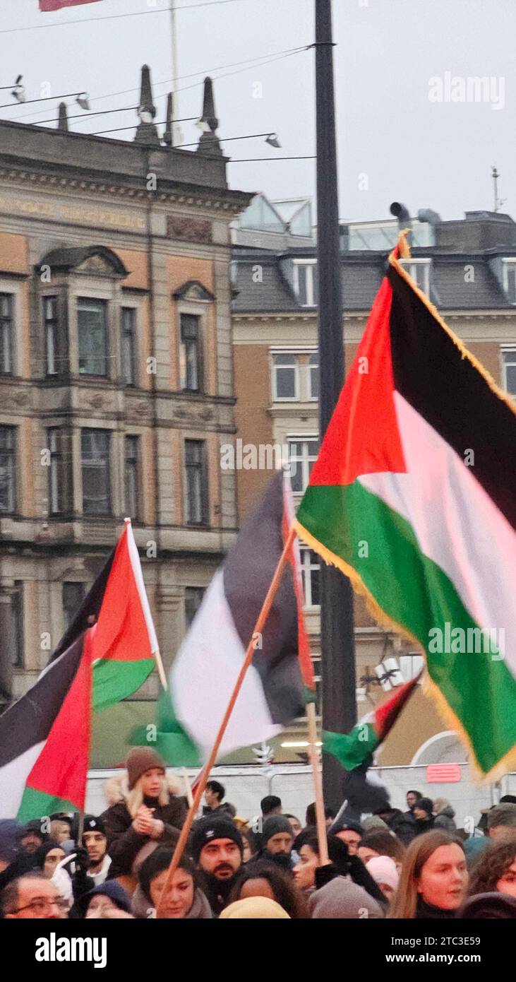 Copenhague, Danemark. 10 décembre 2023. Copenhague, Danemark. 10 décembre 2023. Manifestation pro-palestinienne à Copenhague, Danemark le dimanche 10 décembre 2023 crédit : Pahas/Alamy Live News crédit : Pahas/Alamy Live News Banque D'Images