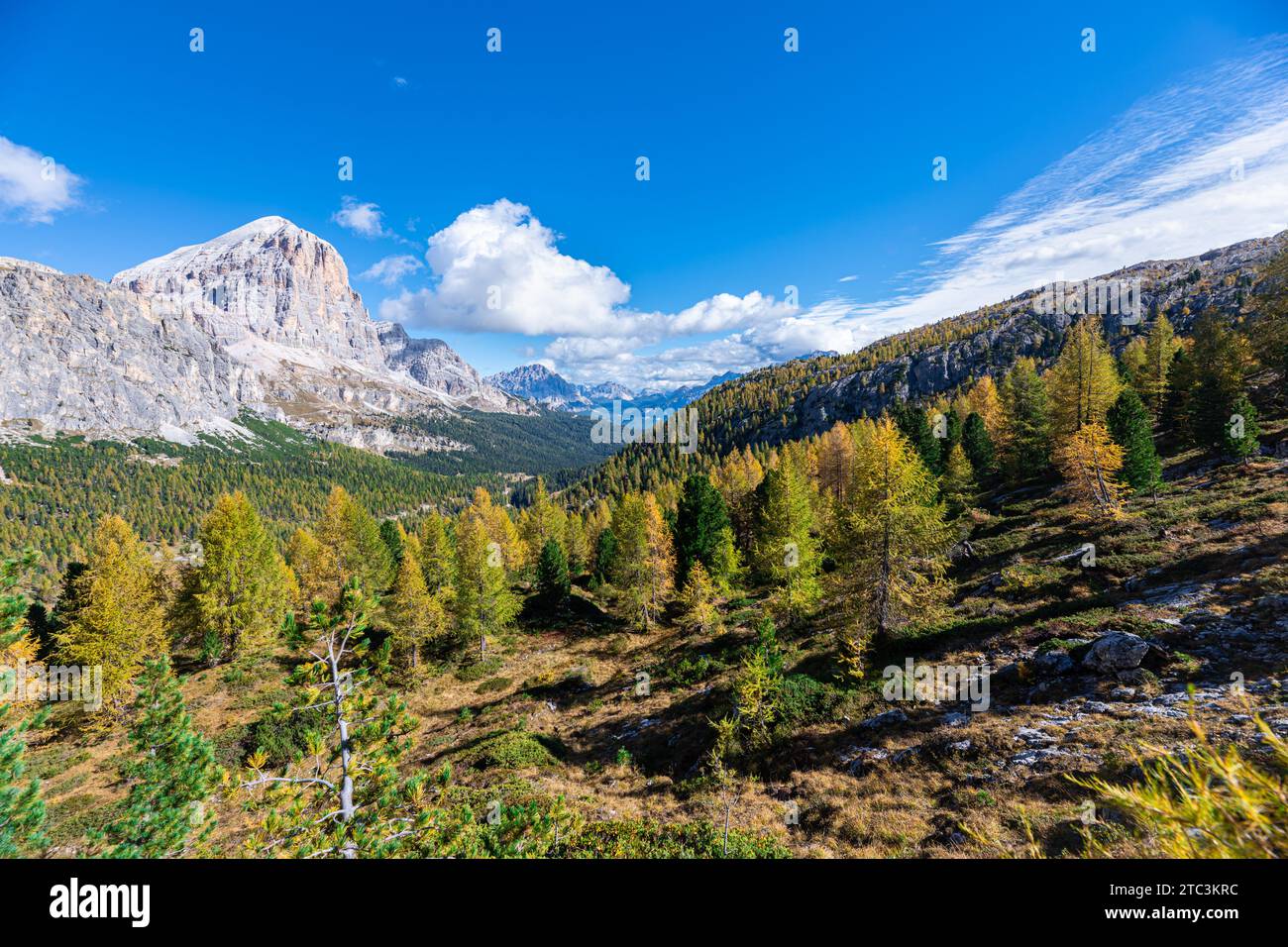 Vue panoramique sur une vallée de montagne avec des mélèzes jaunes Banque D'Images