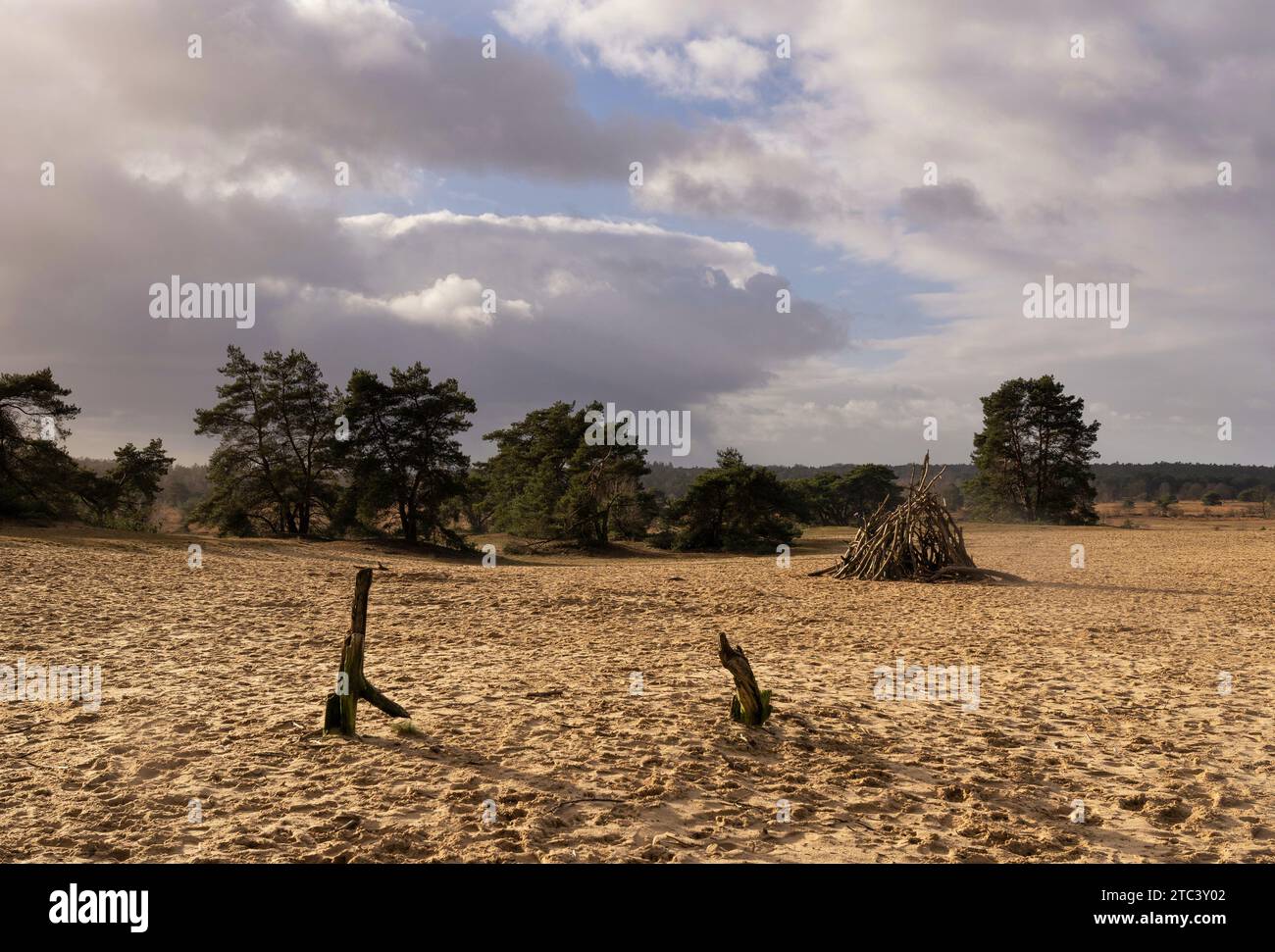 Ciel sombre au-dessus de la zone de sable dérivant de la Rozendaalse Zand dans le parc national de Veluwezoom près de Rozendaal Banque D'Images