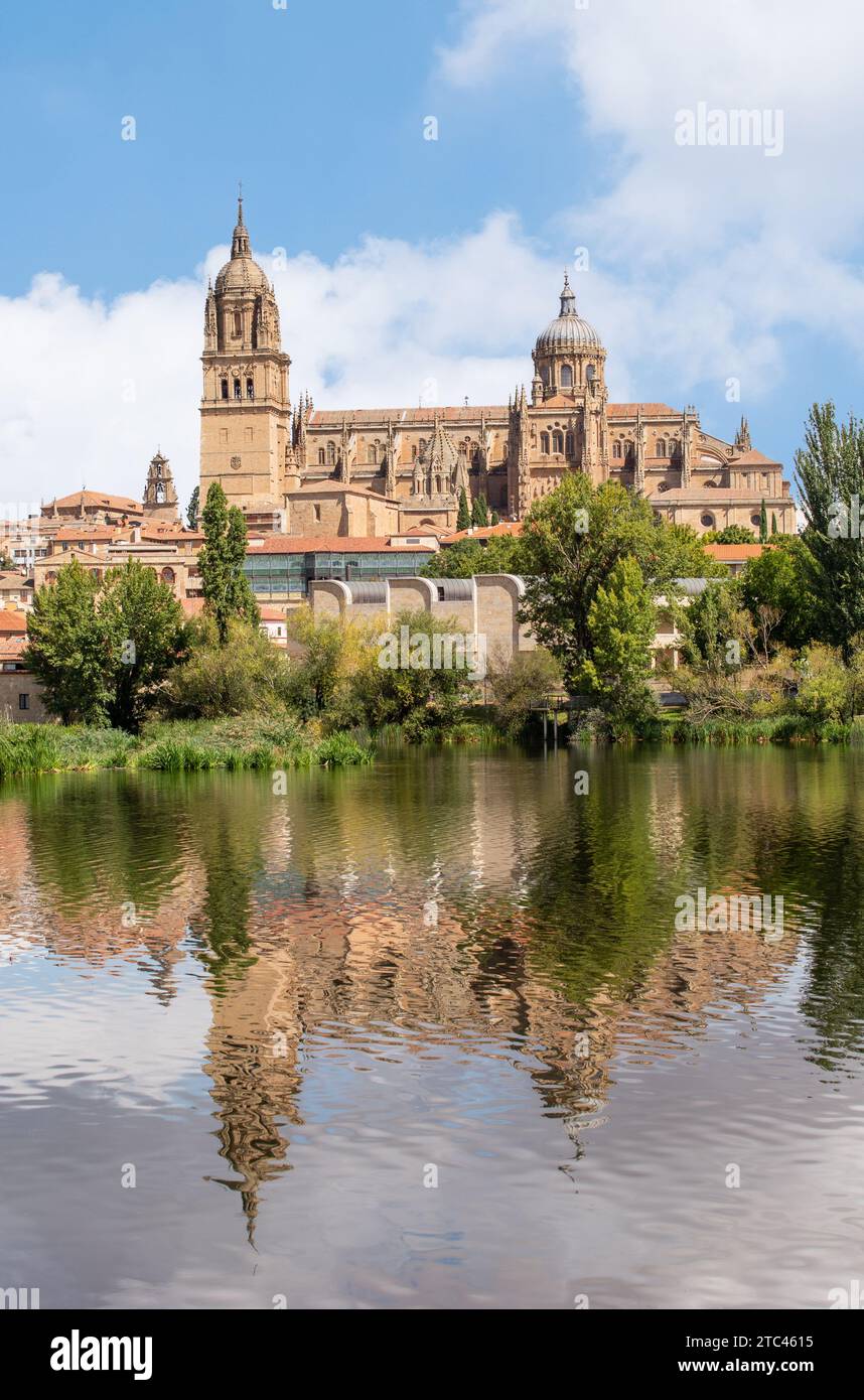 Vue sur la rivière Tormes de la nouvelle cathédrale de Salamanque de l'Assomption de la Vierge Marie dans la ville espagnole de Salamanque Castille Léon Espagne Banque D'Images