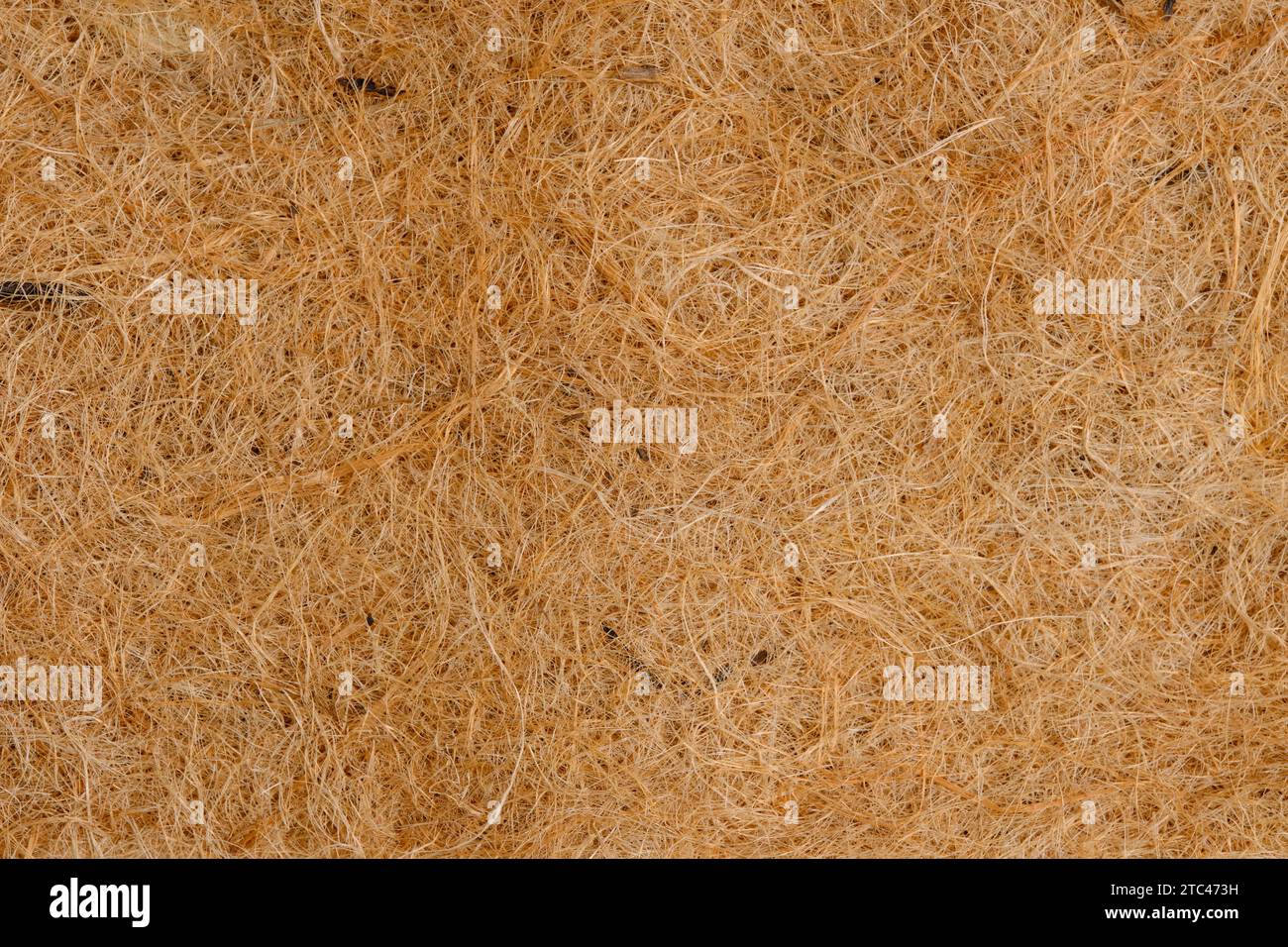 Substrat de fond en fibres organiques Banque D'Images