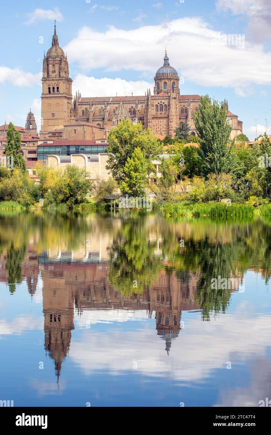 Vue sur la rivière Tormes de la nouvelle cathédrale de Salamanque de l'Assomption de la Vierge Marie dans la ville espagnole de Salamanque Castille Léon Espagne Banque D'Images