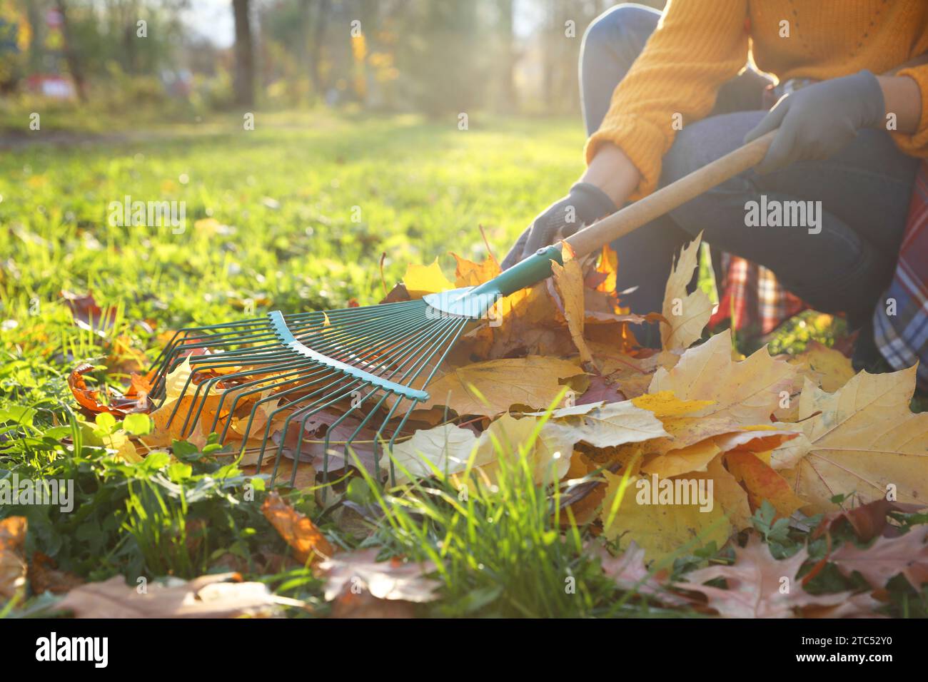 Femme ratissant les feuilles de chute dans le parc, closeup Banque D'Images