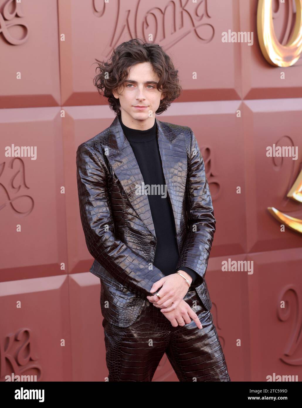 Los Angeles, Californie, États-Unis. 10 décembre 2023. Timothée Chalamet, membre de la distribution, assiste à la première de la comédie musicale « Wonka » au Village Theatre dans la section Westwood de Los Angeles le dimanche 10 décembre 2023. Scénario : rêvant d’ouvrir une boutique dans une ville réputée pour son chocolat, le jeune et pauvre Willy Wonka découvre que l’industrie est dirigée par un cartel de chocolatiers gourmands. Photo de Greg Grudt/UPI crédit : UPI/Alamy Live News Banque D'Images