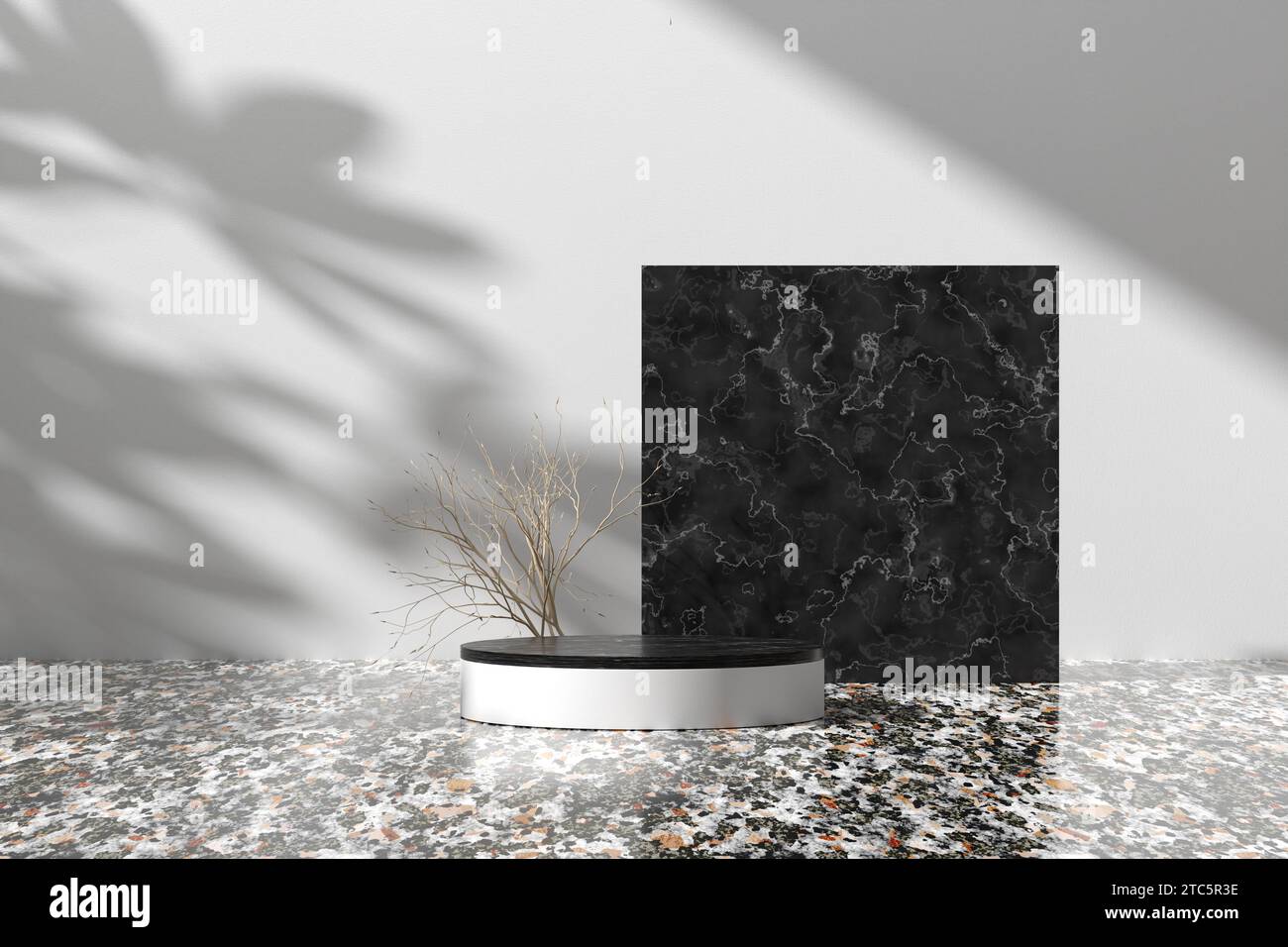 Support cylindrique avec branches sèches sur sol en graphite avec mur en stuc blanc avec ombres végétales. Maquette de podium ou de plate-forme pour l'affichage du produit. Showc Banque D'Images
