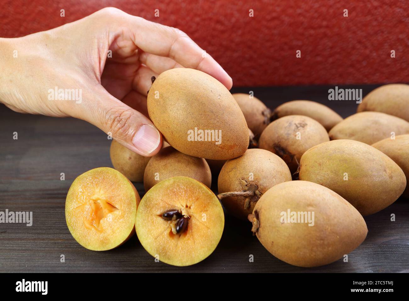 Gros plan de la main de l'homme cueillant un fruit Sapodilla Banque D'Images