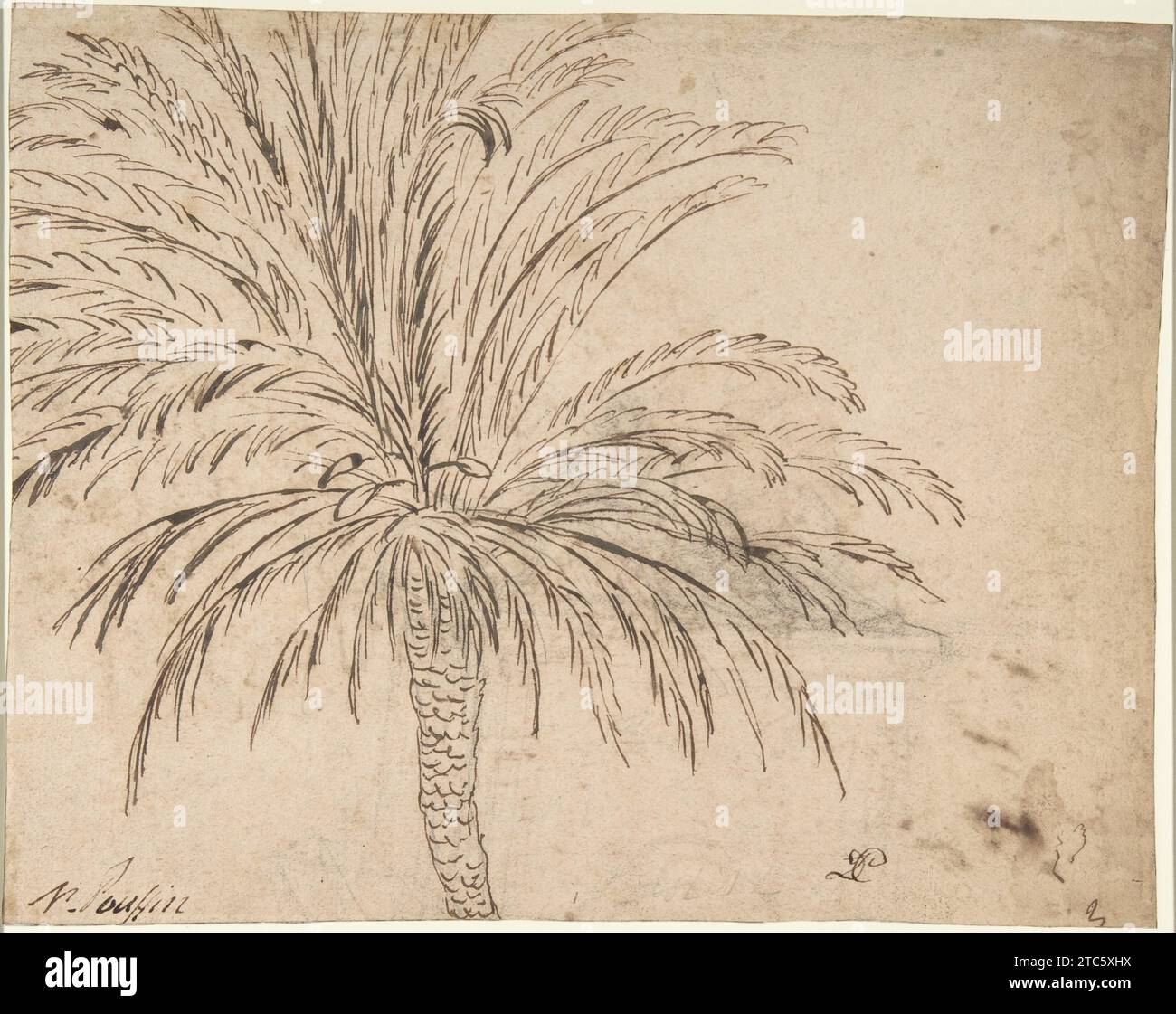 Etude d'un palmier (recto) ; Paysage de montagne (verso) 2002 par Nicolas Poussin Banque D'Images