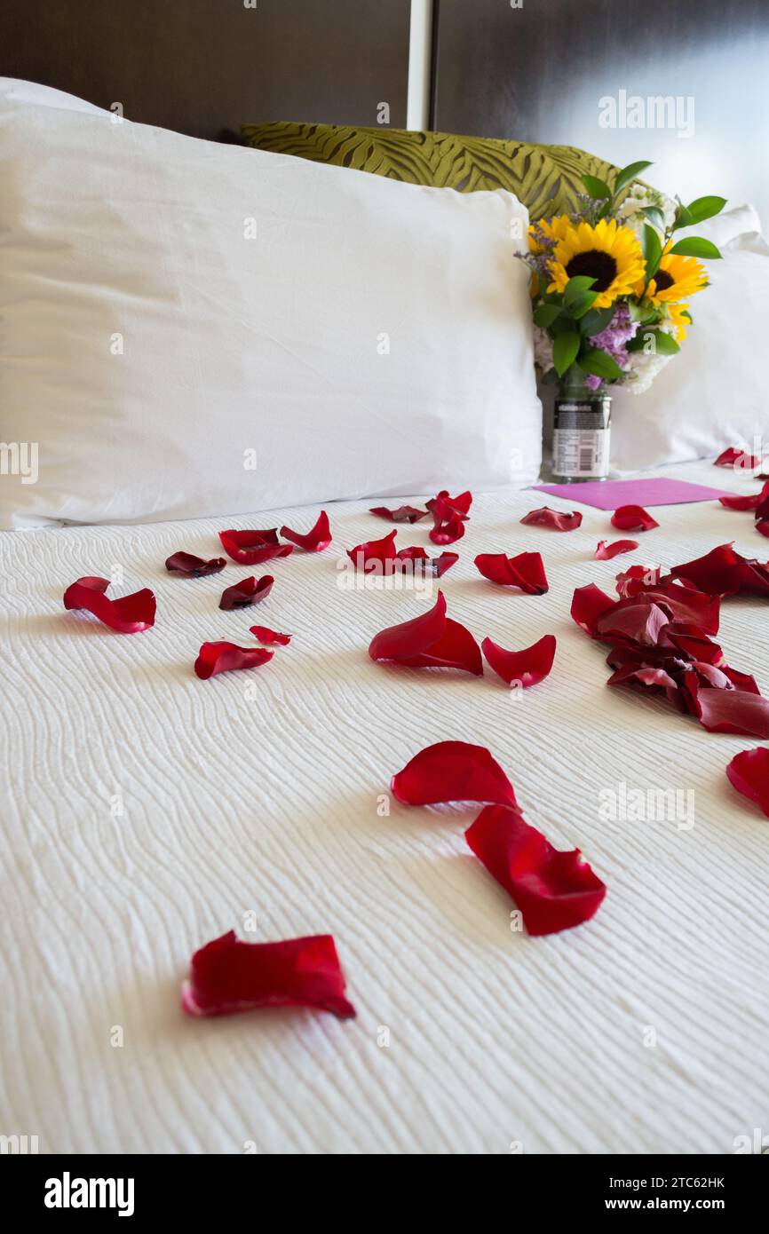 Une chambre d'hôtel luxueuse avec un lit king-size orné de pétales de rose, pour une nuit de noces Banque D'Images