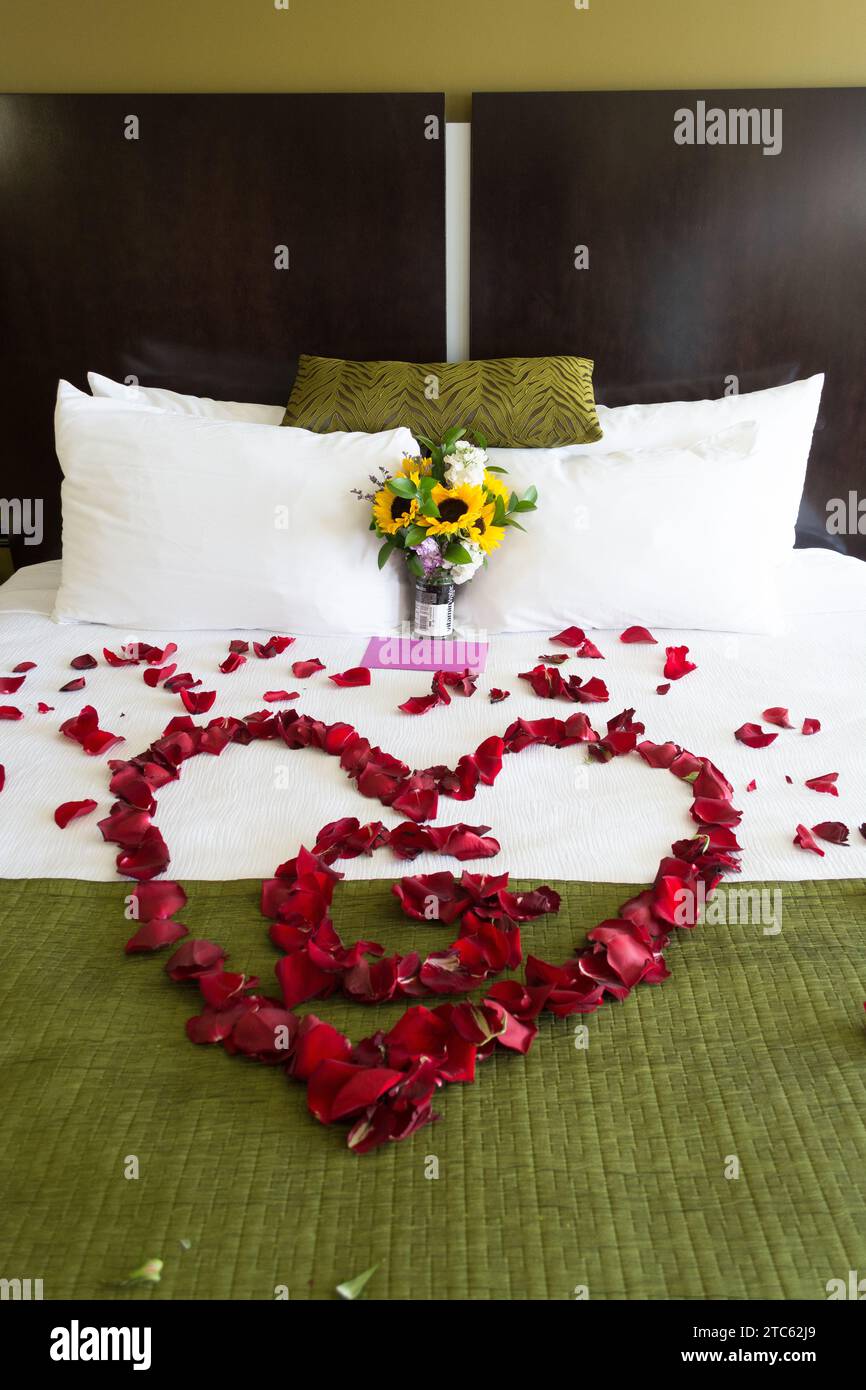 Une chambre d'hôtel luxueuse avec un lit king-size orné de pétales de rose, pour une nuit de noces Banque D'Images