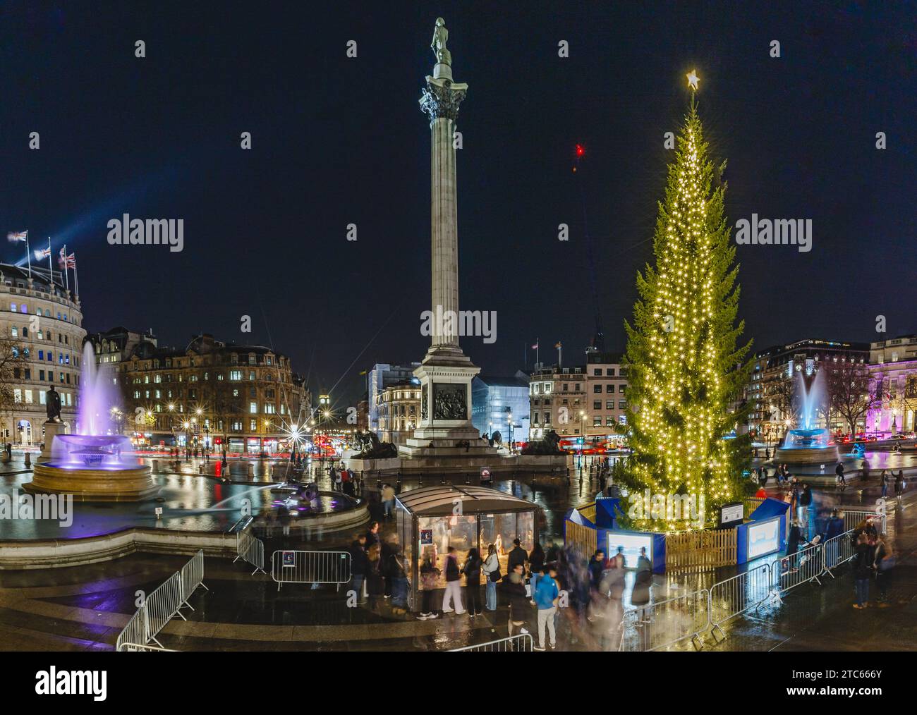 Trafalgar Square la nuit avec le sapin de noël. Banque D'Images
