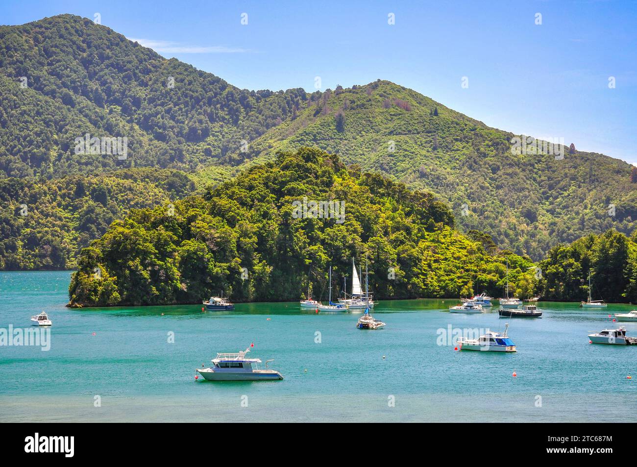 Ngakuta Bay de la Queen Charlotte Drive, Queen Charlotte Sound, Marlborough Sounds, région de Marlborough, île du Sud, Nouvelle-Zélande Banque D'Images Ngakuta Bay de la Queen Charlotte Drive, Queen Charlotte Sound, Marlborough Sounds, région de Marlborough, île du Sud, Nouvelle-Zélande Banque D'Images