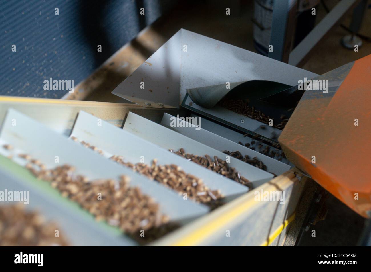 Machine de production de granulés de bois en usine, fabrication de — free download
