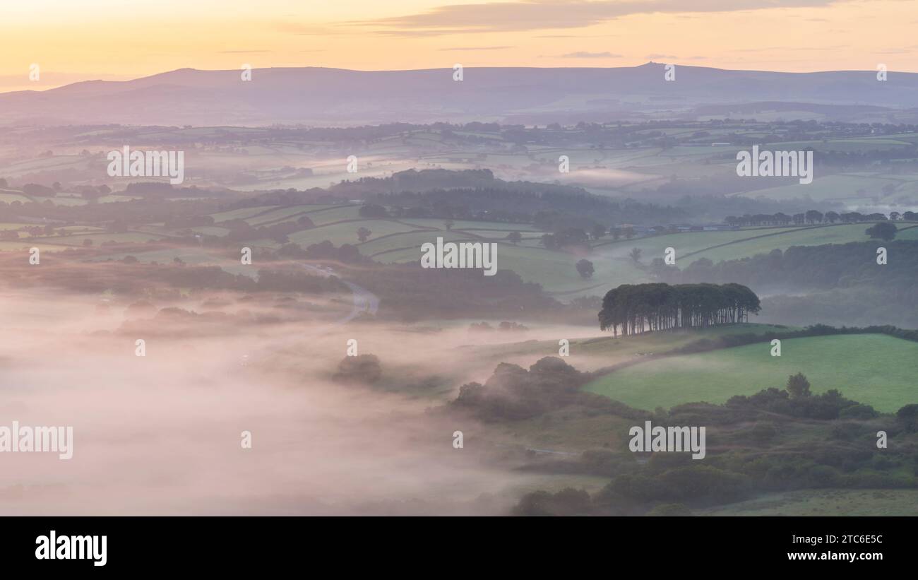 Lever de soleil brumeux près de Cookworthy Knapp (également connu sous le nom de Nearly Home Trees) près de Lifton dans le Devon, en Angleterre. Été (juillet) 2023. Banque D'Images