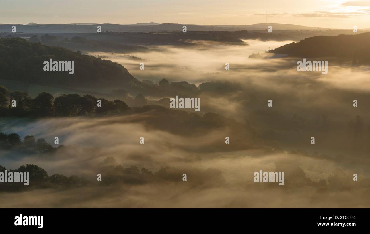 Lever de soleil brumeux sur les vallées boisées de Cornouailles, Bodmin, Cornouailles, Angleterre. Été (août) 2023. Banque D'Images