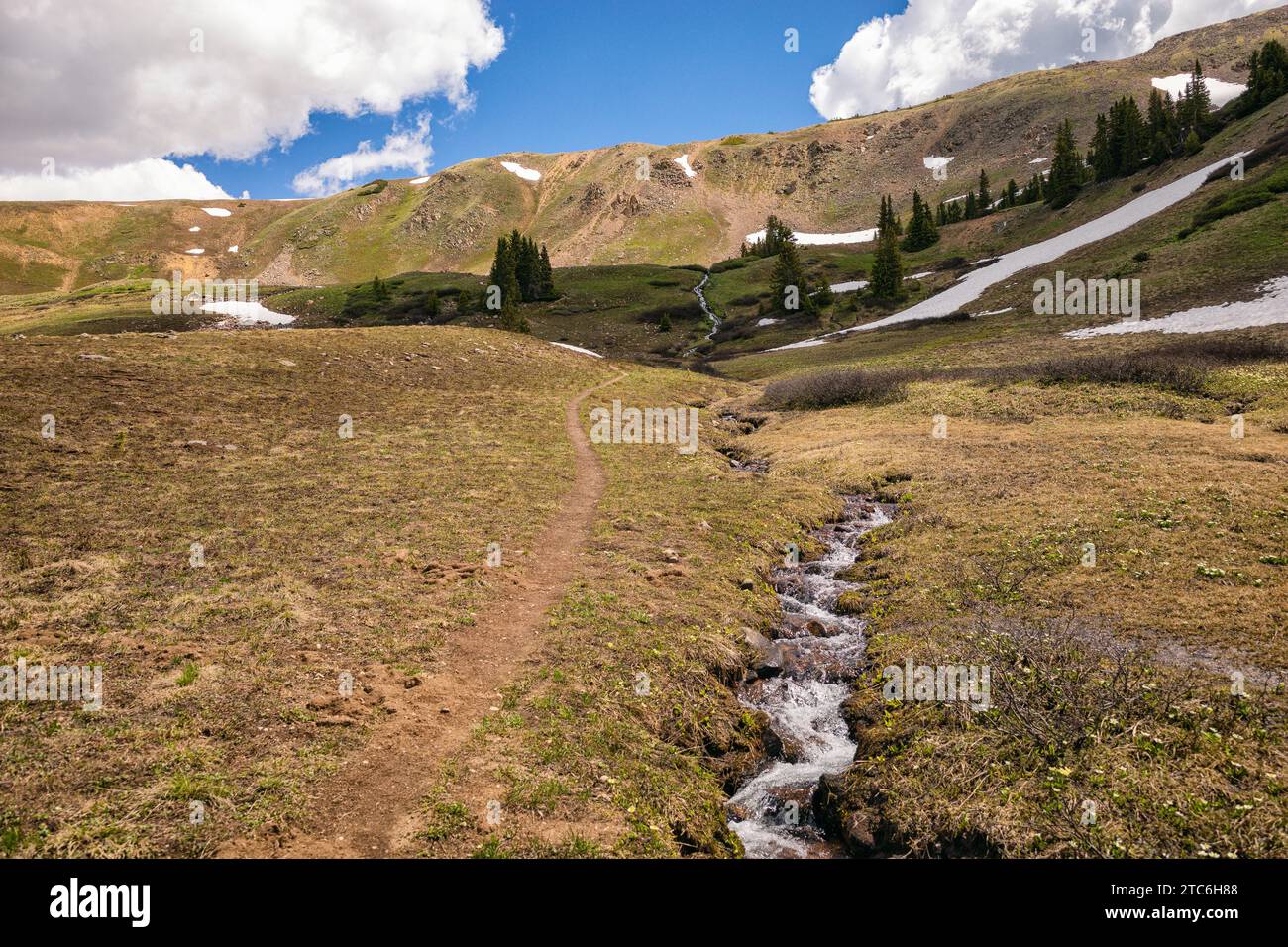 Sentier de randonnée avec ruisseau dans la région sauvage d'Eagles Nest, Colorado Banque D'Images