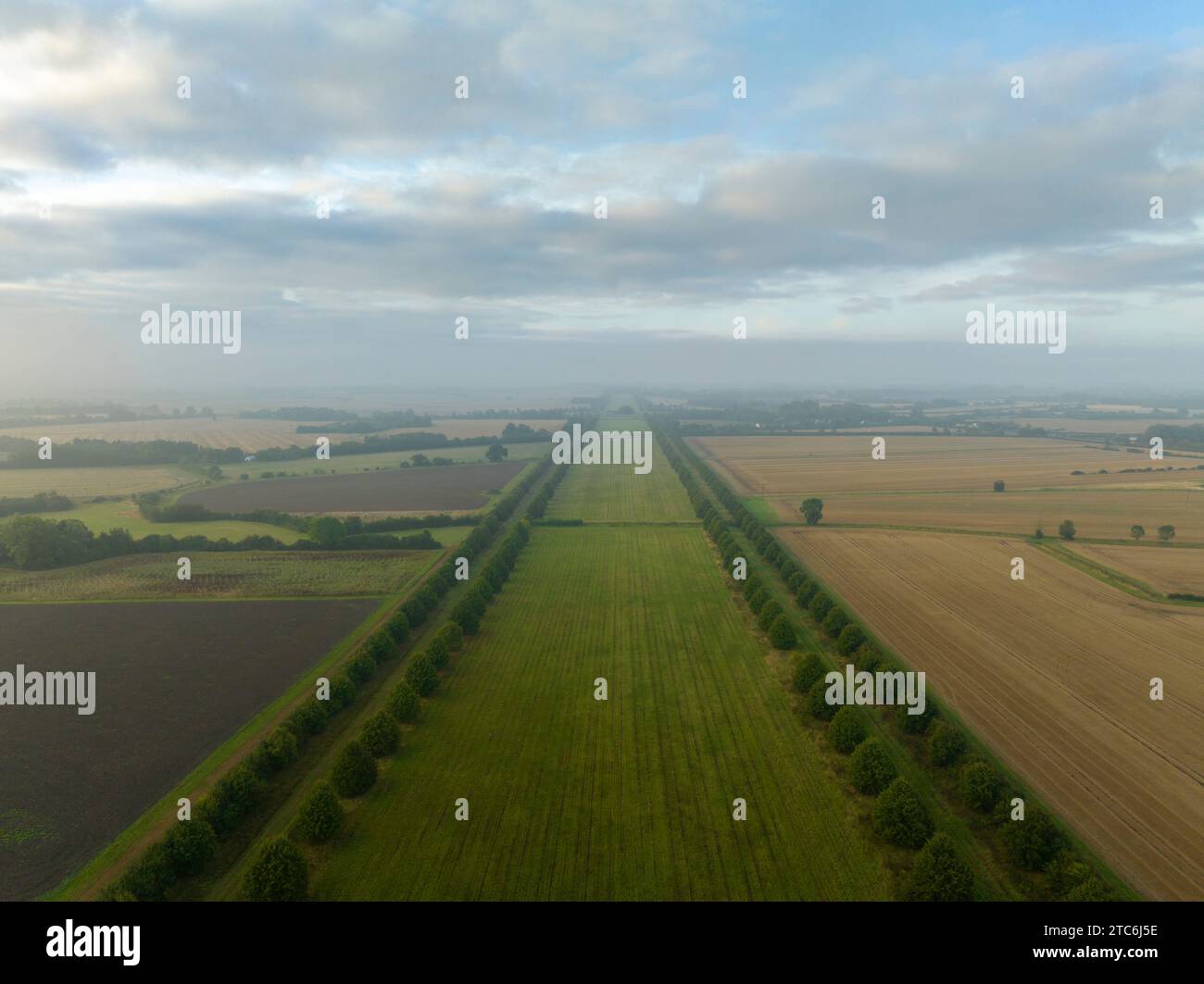 Vue aérienne de Wimpole Avenue sur Wimpole Estate, Cambridgeshire, Angleterre. Automne (septembre) 2023. Banque D'Images