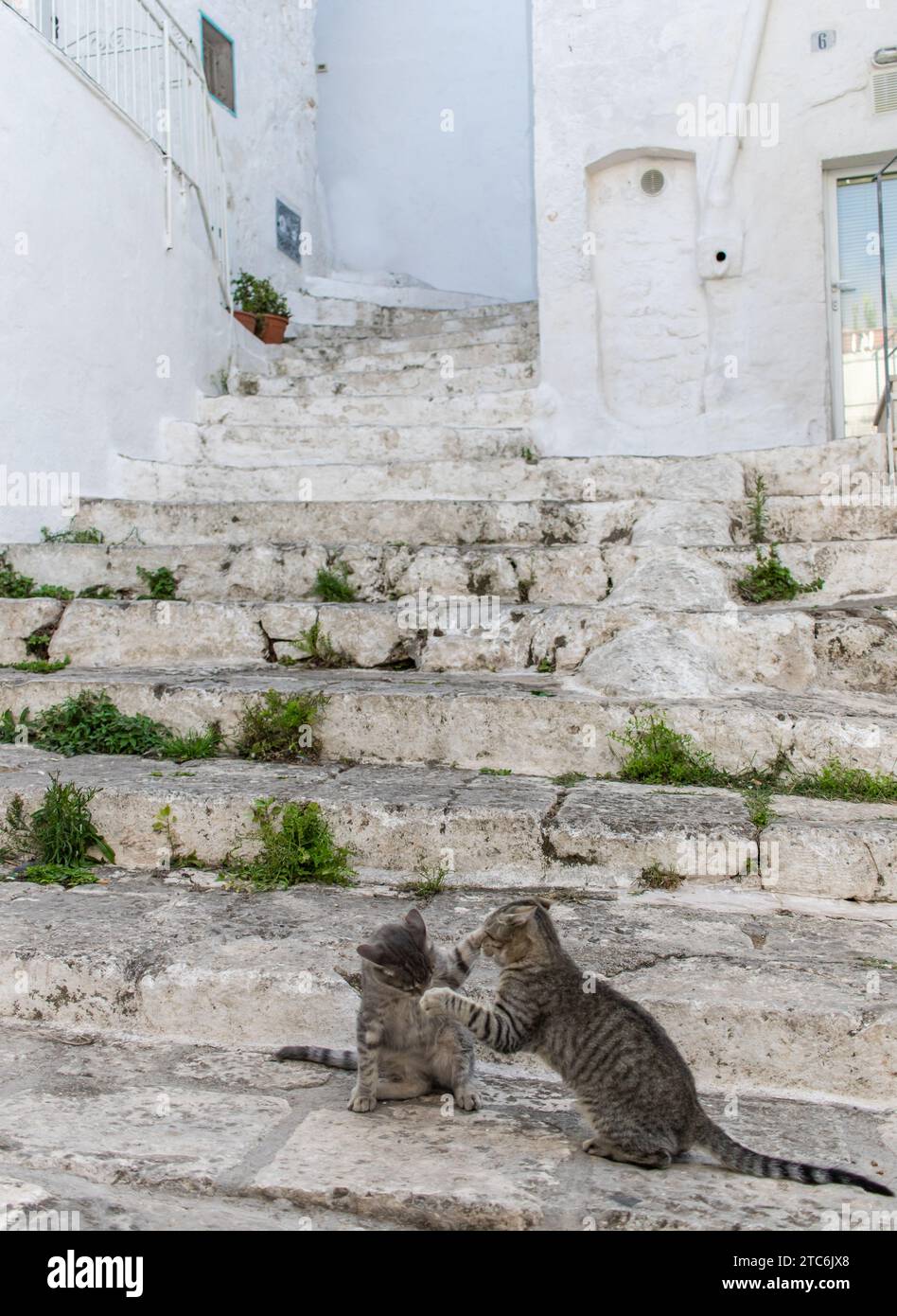 Ostuni, Italie - l'un des plus beaux villages du sud de l'Italie, Ostuni présente une merveilleuse vieille ville avec des rues étroites et des ruelles Banque D'Images