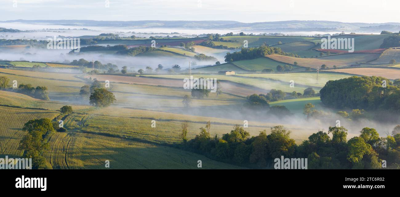 Brume enveloppait la campagne vallonnée près de Berry Pomeroy dans le South Hams du Devon, en Angleterre. Automne (septembre) 2023. Banque D'Images