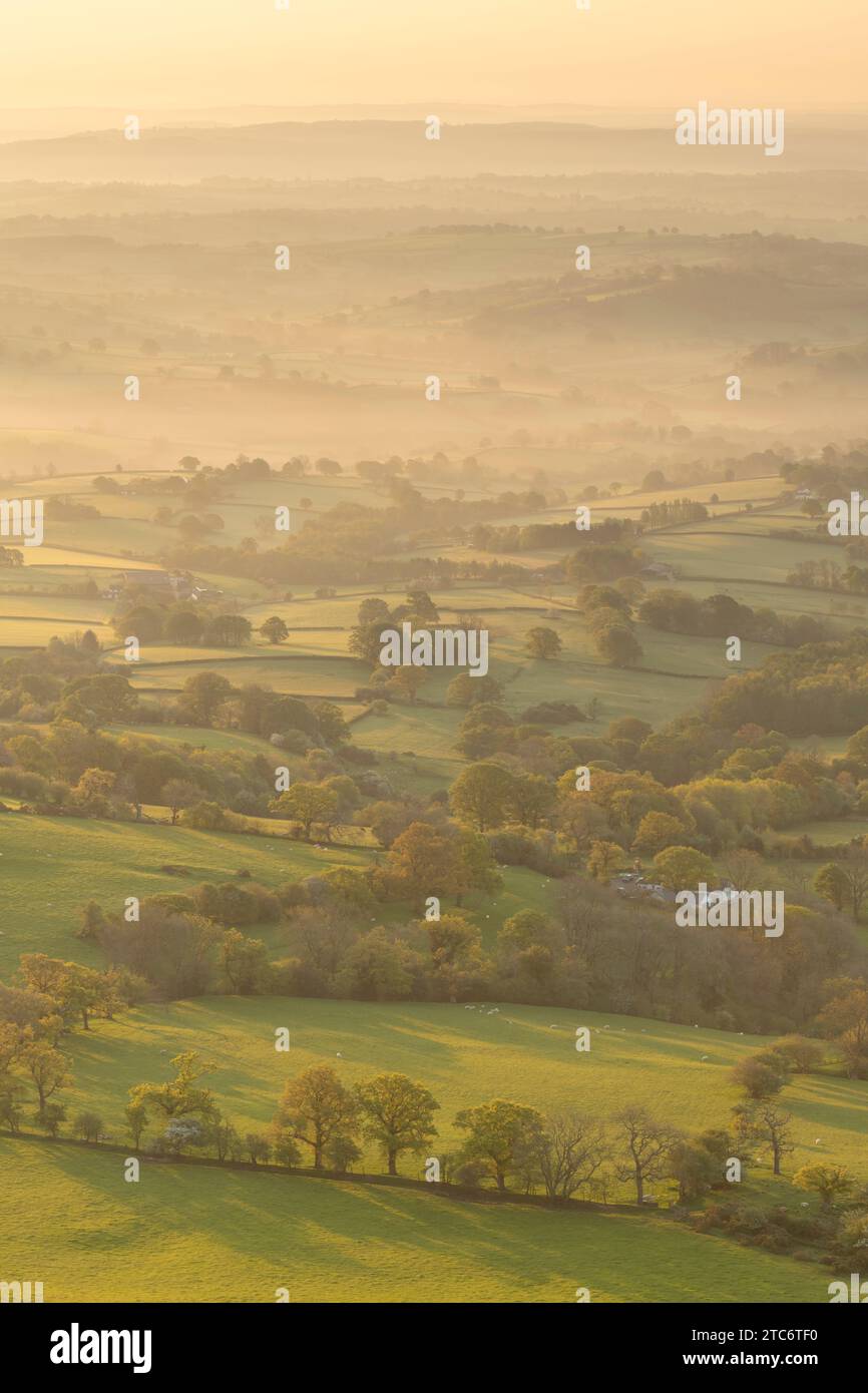 Belle lumière du soleil matinale sur les champs verts vallonnés de Bannau Brycheiniog, anciennement connu sous le nom de Brecon Beacons, Powys, pays de Galles, Royaume-Uni. Printemps (mai) Banque D'Images