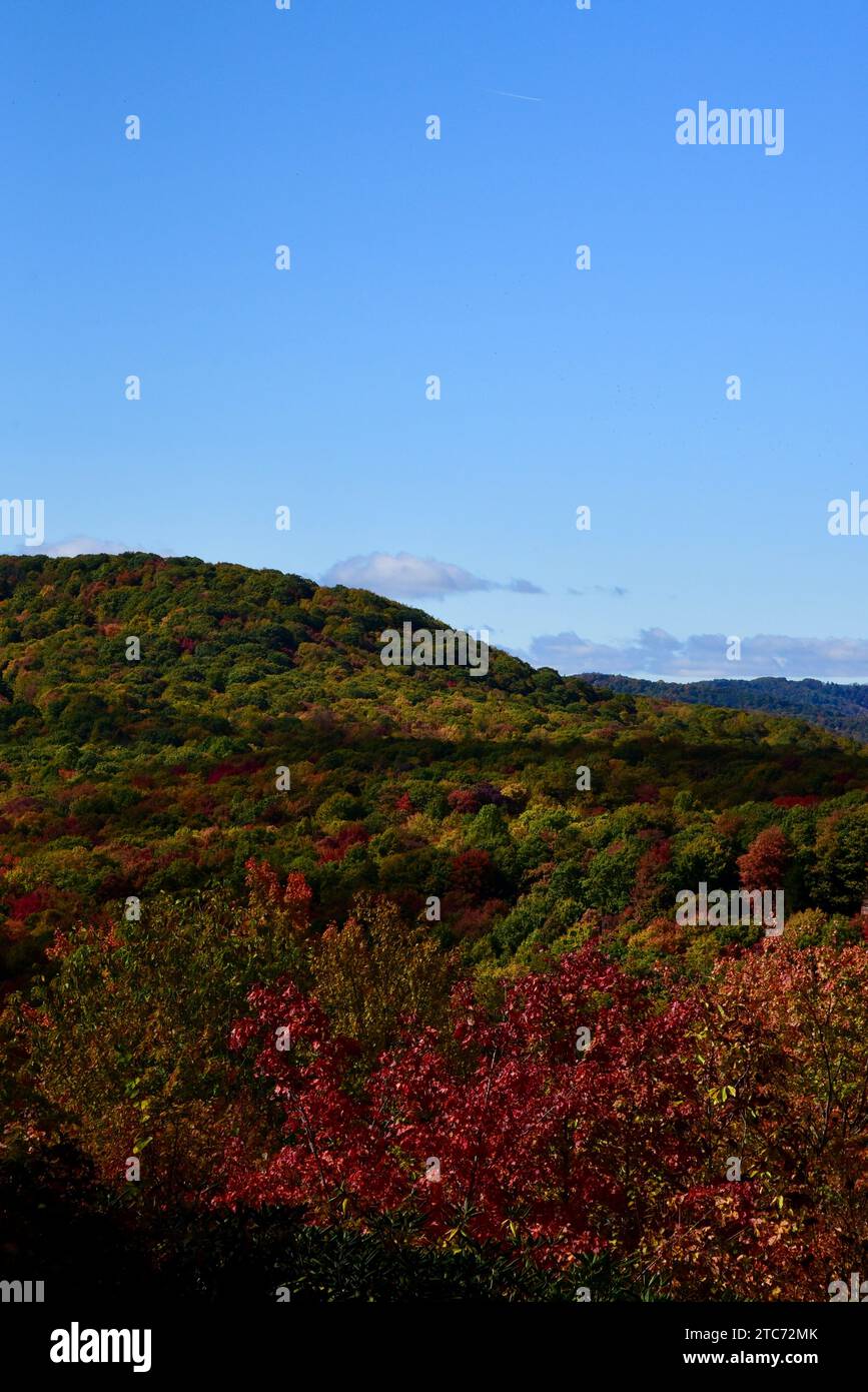 Un paysage vibrant d'une colline dans l'ouest de la Caroline du Nord avec une gamme étonnante de couleurs d'automne Banque D'Images