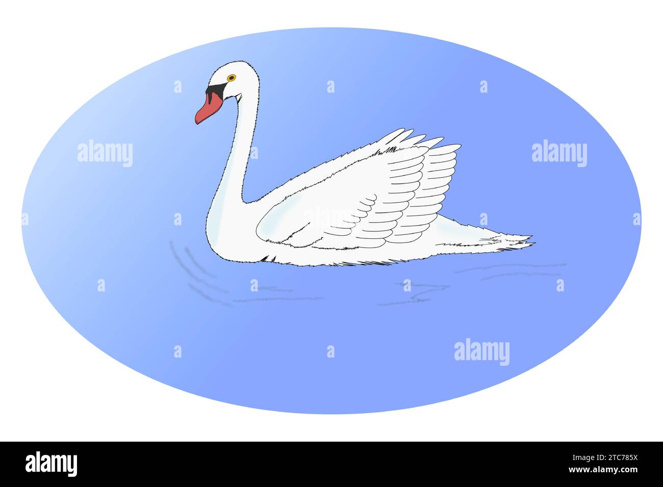 Le cygne blanc nage sur l'eau avec un fond elliptique Illustration de Vecteur