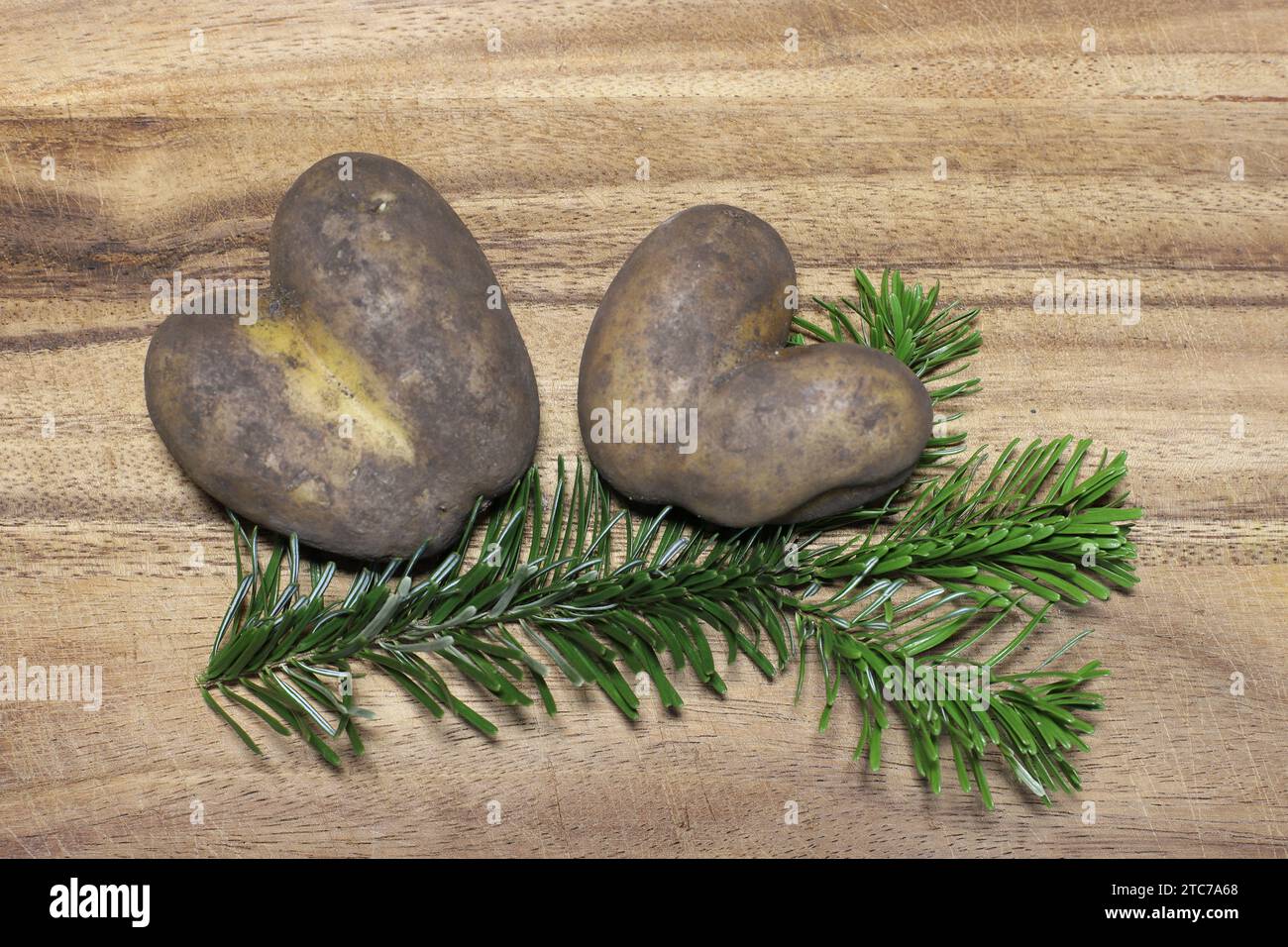 Gros plan de deux pommes de terre en forme de cœur couchées à côté d'une branche de sapin sur une planche de bois marron, vue de dessus Banque D'Images