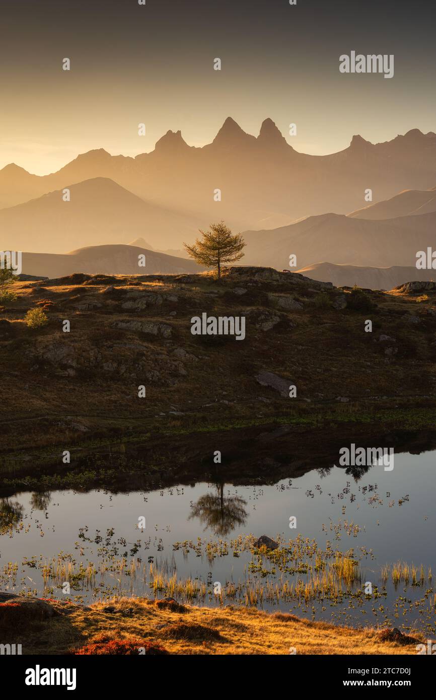 Paysage pittoresque de l'arbre solitaire se reflètent sur le lac avec ...
