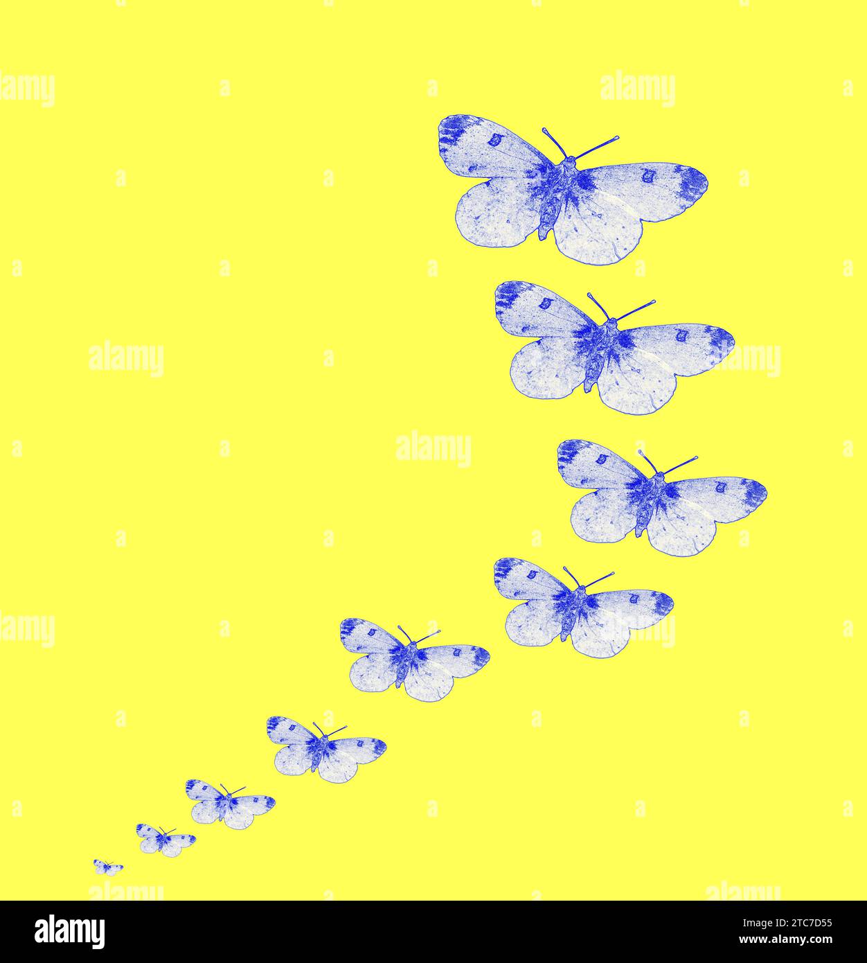 Illustration d'une ligne de papillons bleus en expansion sur fond jaune Banque D'Images