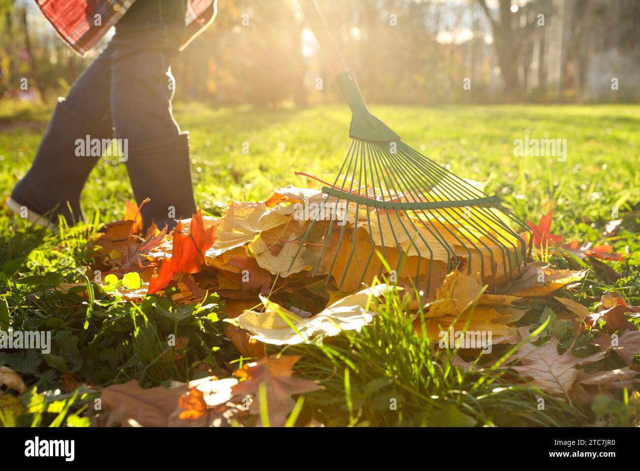 Femme ratissant les feuilles de chute dans le parc, closeup Banque D'Images