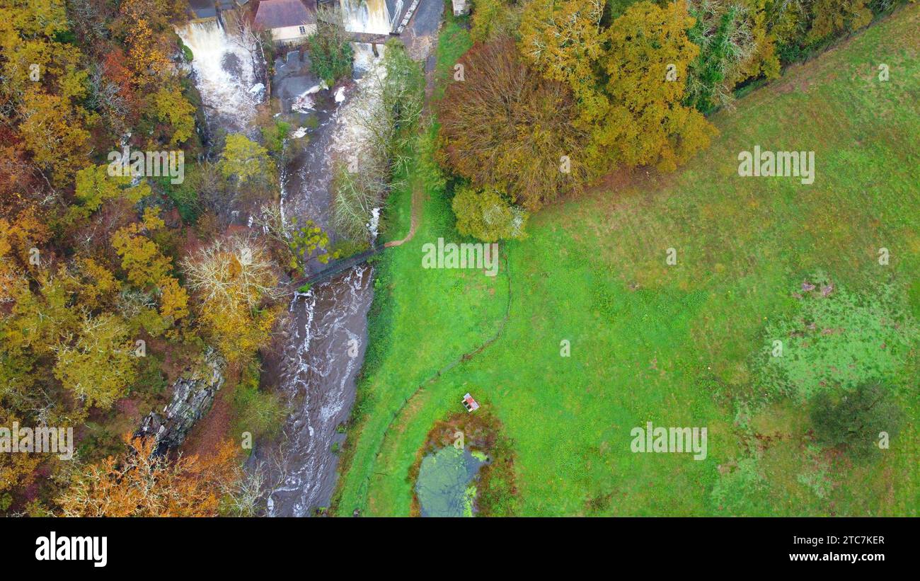 Forêt en automne avec des couleurs d'automne Forêt nationale du Périgord Banque D'Images