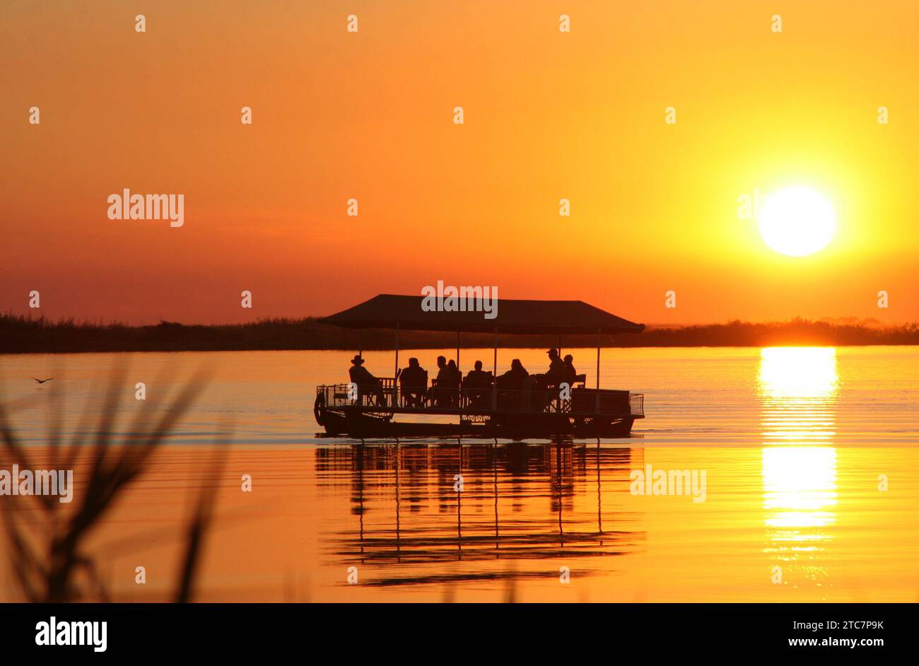 Excursion en bateau au coucher du soleil sur la rivière Chobe, Botswana. Banque D'Images