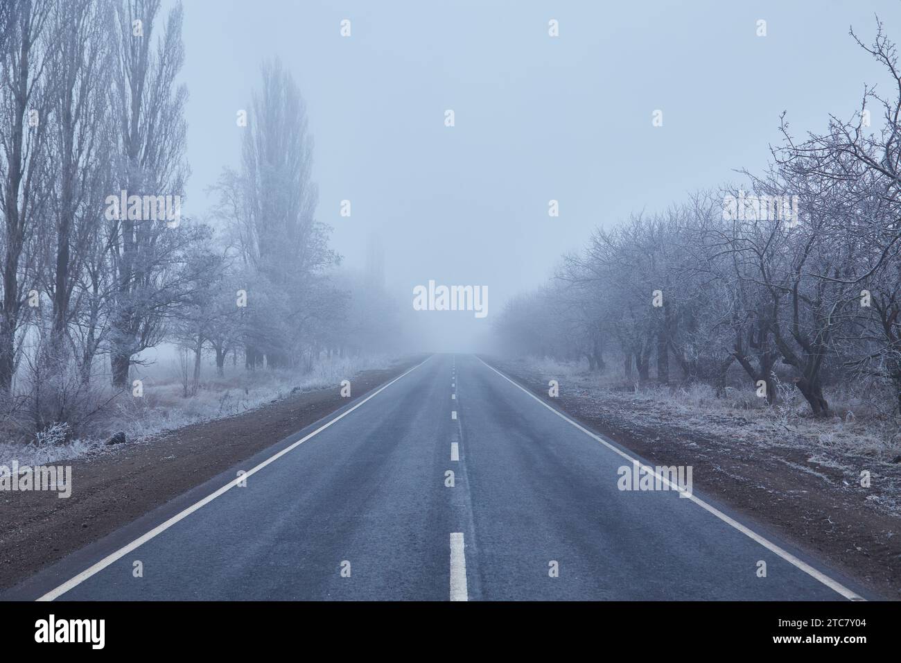 Matin d'hiver avec arbres givrés, atmosphère brumeuse, et une route asphaltée disparaissant. Une route asphaltée s'étend dans la distance, disparaissant dans t Banque D'Images