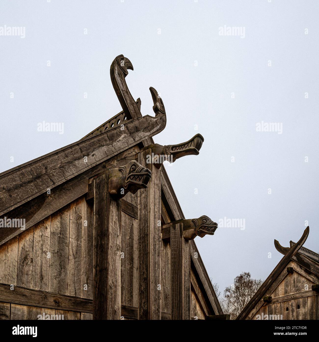 Sculptures sur bois de têtes nordiques dans la salle du Roi à Saganlandet Lejre, Danemark, 10 décembre 2023 Banque D'Images
