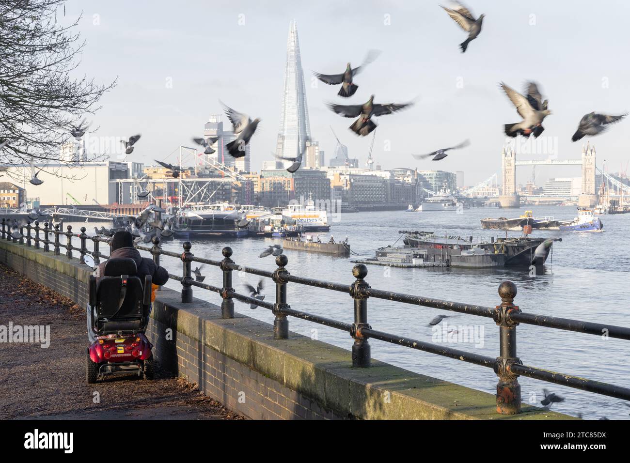 Une personne en fauteuil roulant nourrit des pigeons volants le long de la Tamise, Londres, Royaume-Uni avec le Shard et Tower Bridge en avant-plan Banque D'Images