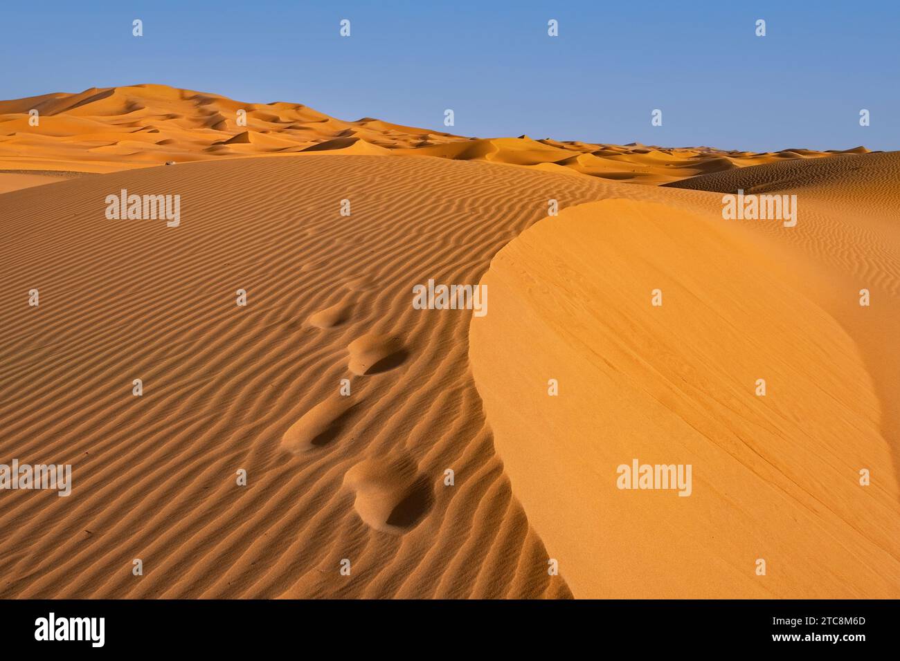 Pas des gens dans la dune de sable de l’Erg Chebbi dans le désert du Sahara près de Merzouga, Drâa-Tafilalet, Errachidia, Maroc Banque D'Images