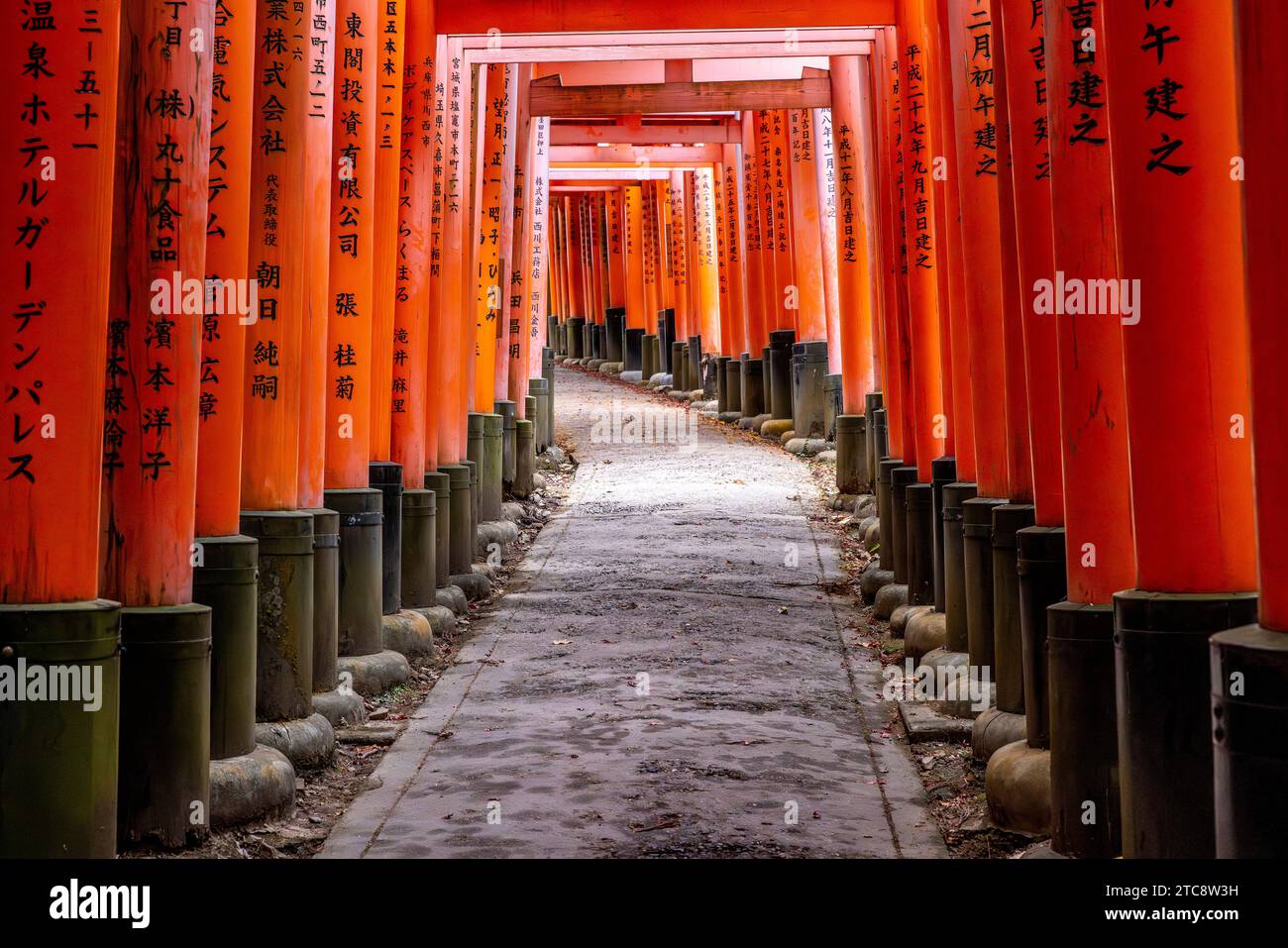 tunnel torii emblématique dans le temple fushimi inari Banque D'Images