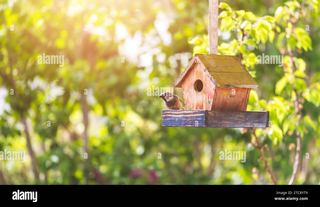 Gros plan d'une maison d'oiseaux en bois colorée suspendue dans son propre jardin, en été Banque D'Images