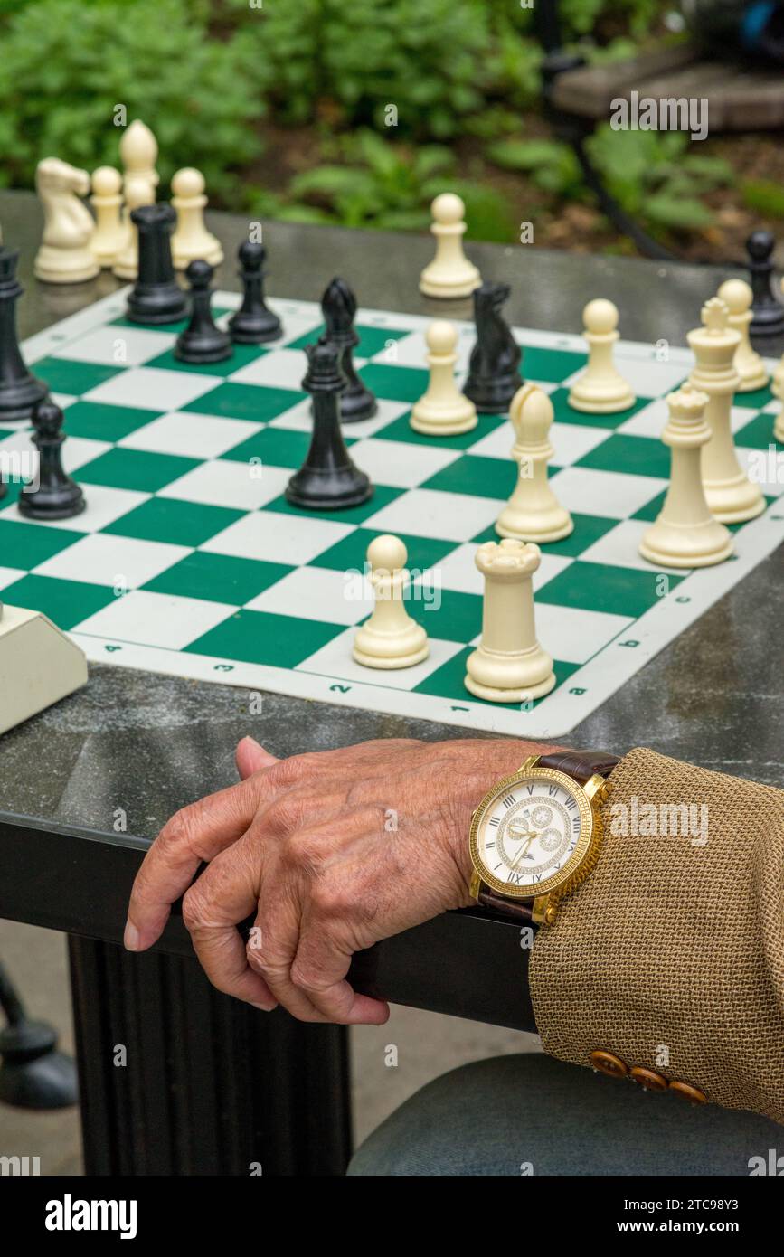 Détail d'une partie d'échecs se déroulant dans Washington Square Park à Manhattan Banque D'Images