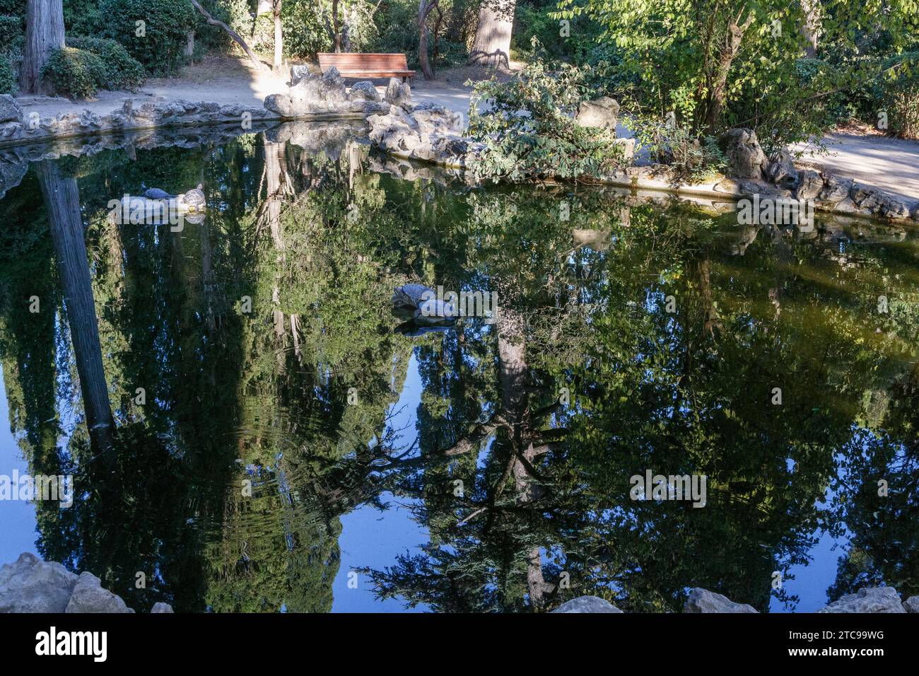 Étang aux tortues dans Massandra Park Banque D'Images