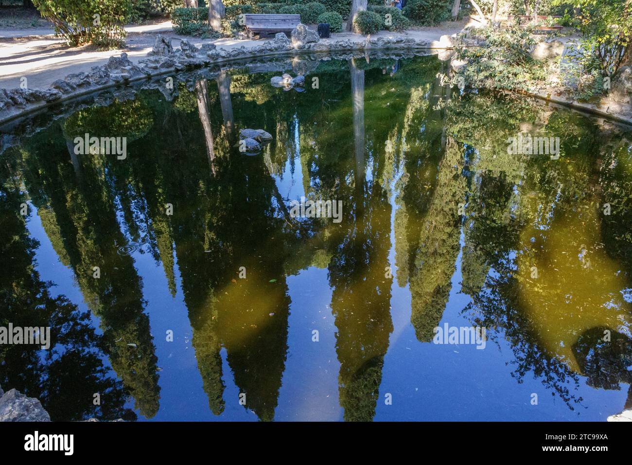 Étang aux tortues dans Massandra Park Banque D'Images