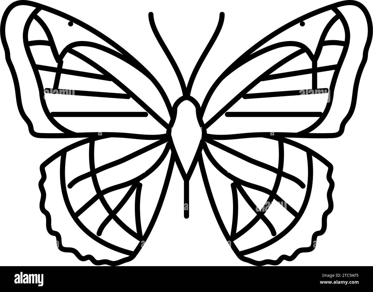 illustration vectorielle de l'icône de la ligne d'été viceroy Illustration de Vecteur