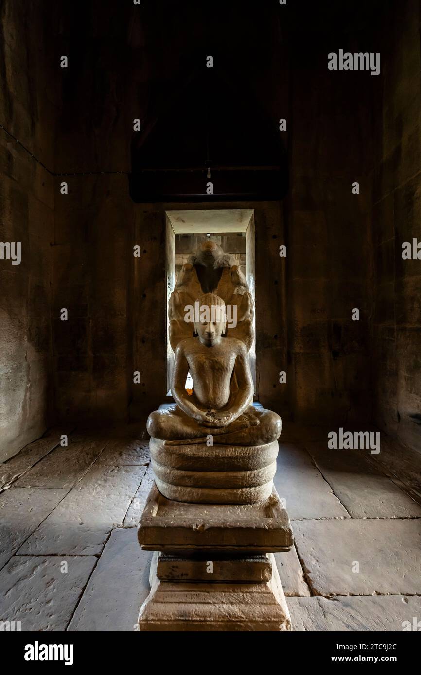 Parc historique de Phimai, statue de Bouddha assis sur le serpent Naga, principal shr, ine, Nakhon Ratchasima, Isan, Thaïlande, Asie du Sud-est, Asie Banque D'Images