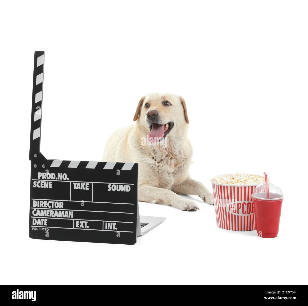 Chien Labrador mignon avec seau de pop-corn, tasse de soda et clapperboard couché sur fond blanc Banque D'Images