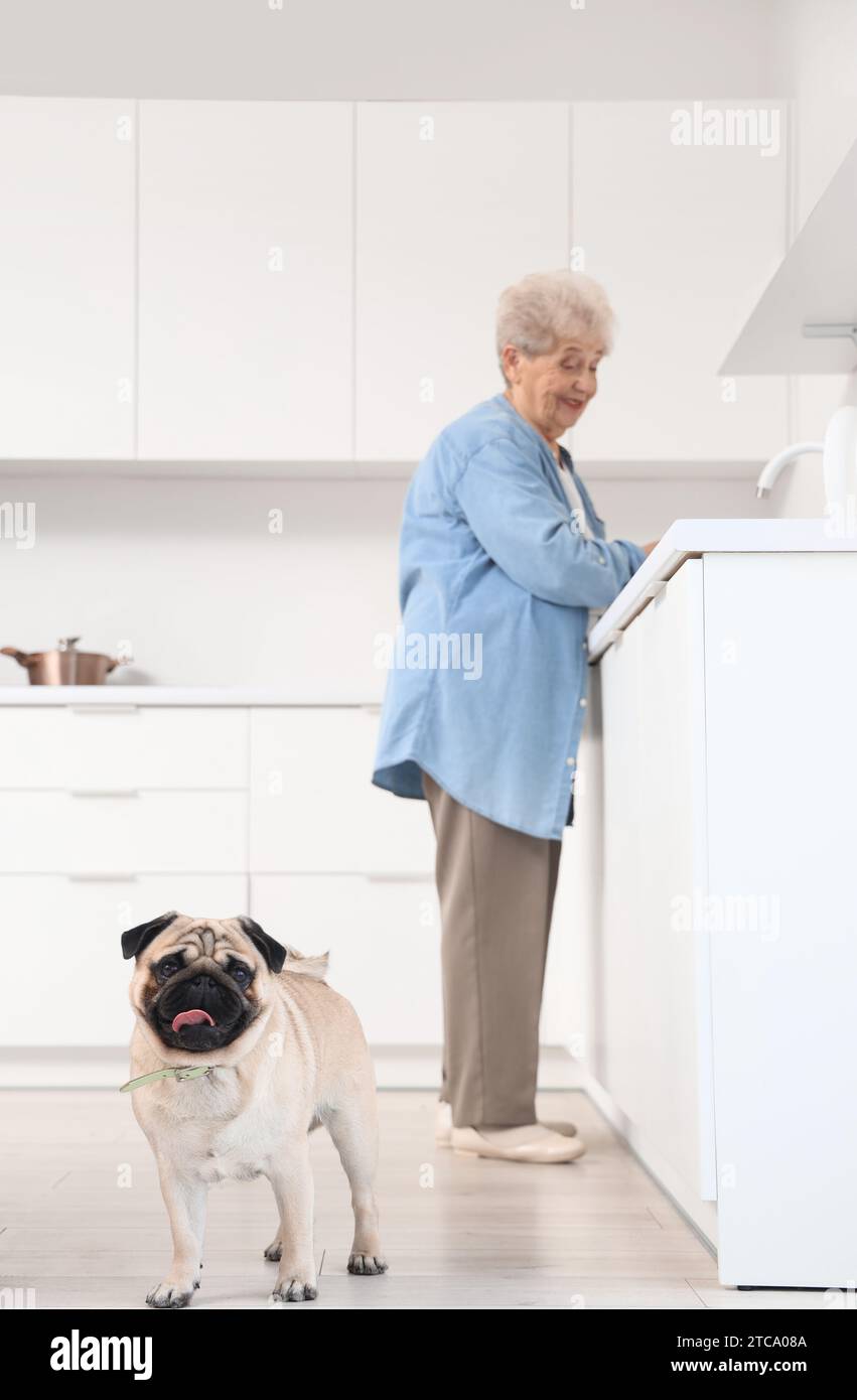 Femme âgée avec chien chiot laver la vaisselle dans la cuisine Banque D'Images