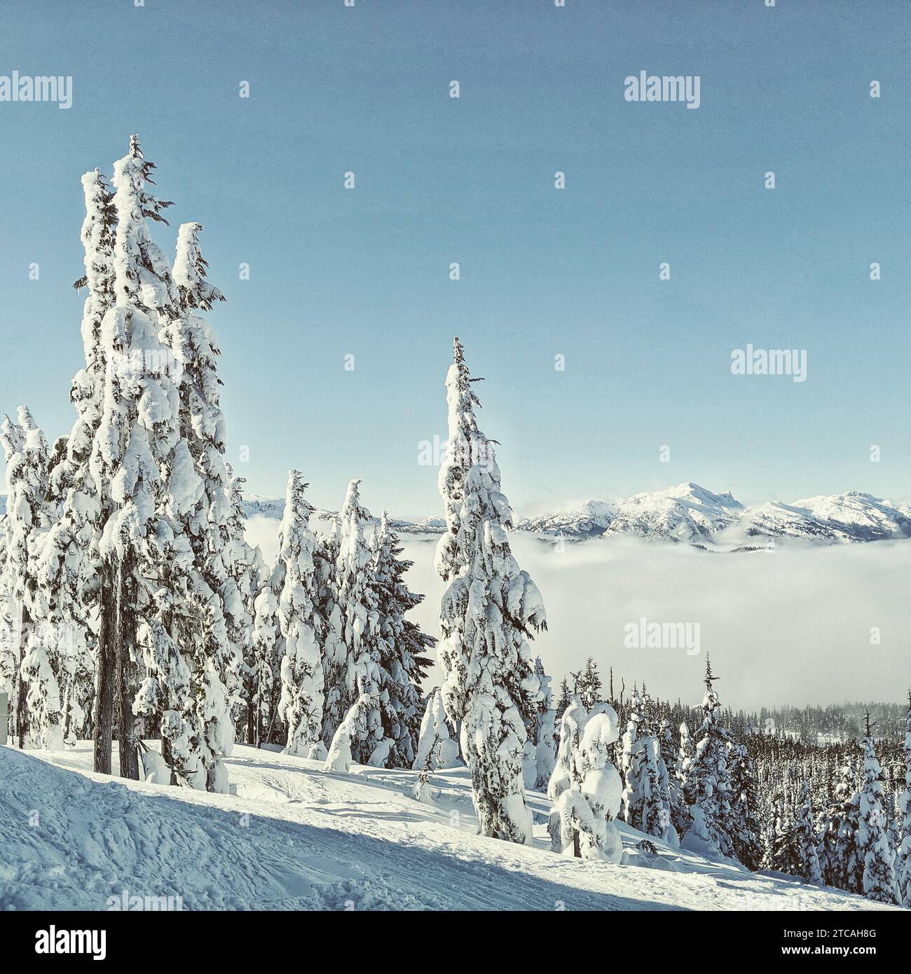 Incroyable belle journée enneigée à la station de ski de Mount Washington. Banque D'Images Incroyable belle journée enneigée à la station de ski de Mount Washington. Banque D'Images