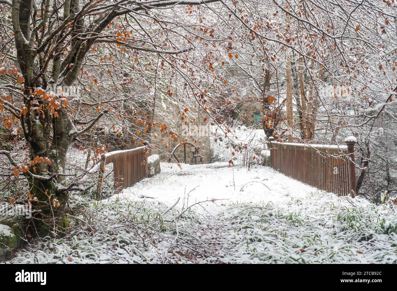 Pont couvert de neige traversant l'Allt a Gheallaidh en novembre. Speyside, Morayshire, Écosse Banque D'Images