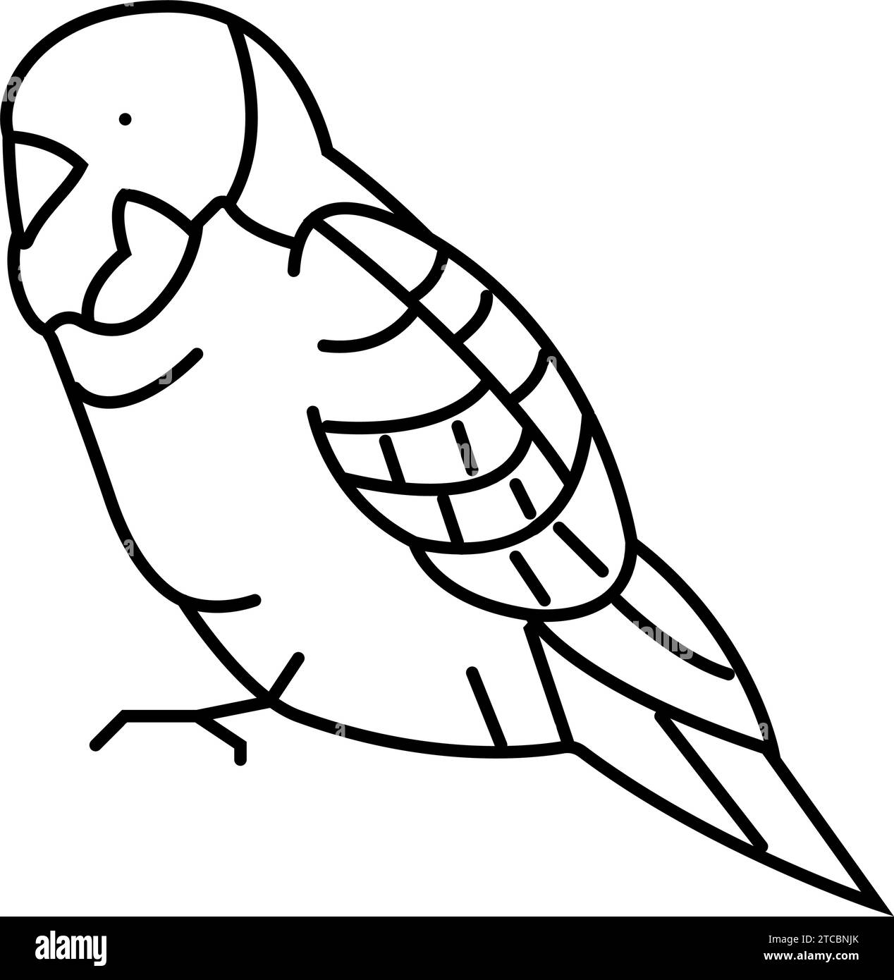 illustration vectorielle de ligne d'oiseau perroquet perroquet de budgerigar Illustration de Vecteur