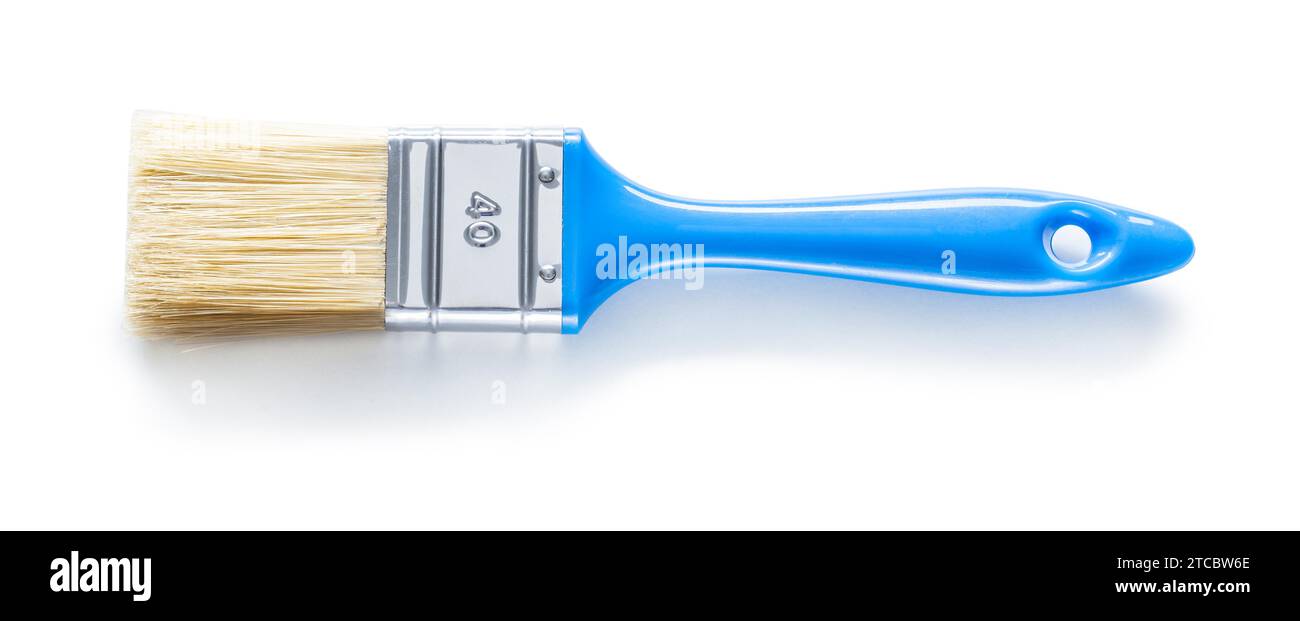 Pinceau bleu devant un fond blanc Banque D'Images